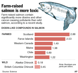 The Health Benefits of Wild-Caught Sockeye Salmon - A Nutritional Powerhouse