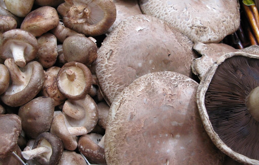 Cremini Portobello Mushrooms