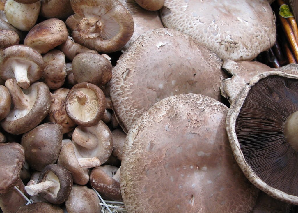 Cremini Portobello Mushrooms