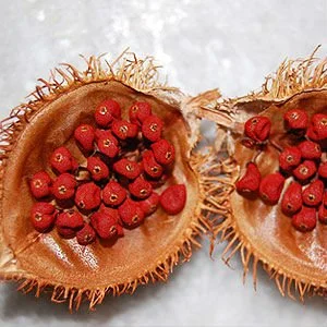Annatto Tocotrienols