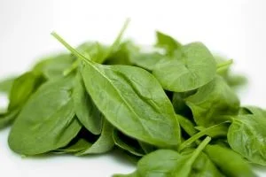 Superfoods Spinach