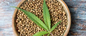 Hemp Seeds Superfood