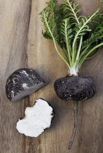 black maca root
